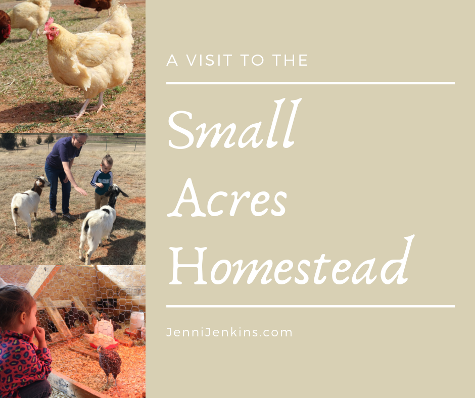 A Visit to the Small Acres Homestead blog