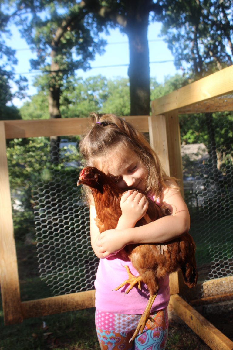 Kids and chickens