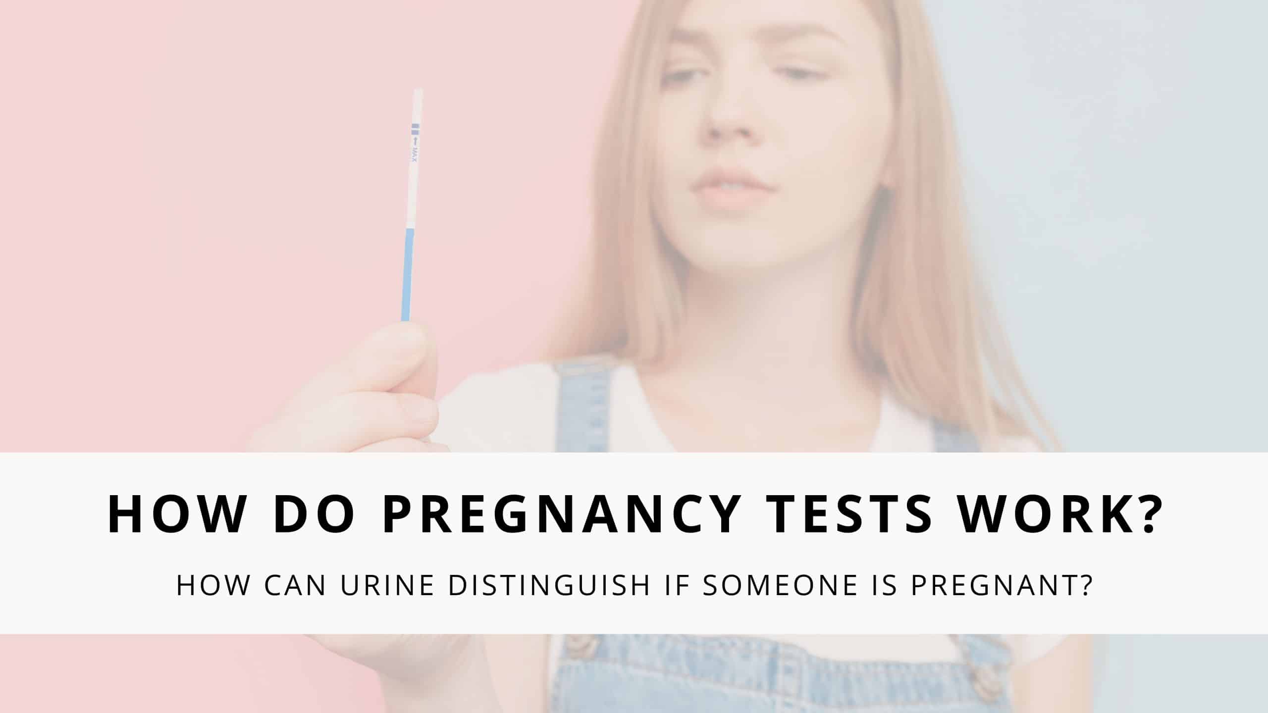 how do pregnancy tests work