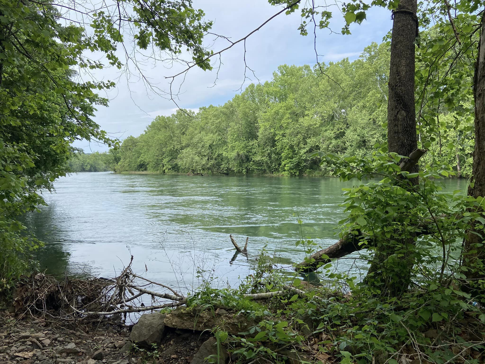 fishing on the illinois river